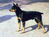dog_35.jpg (41718 bytes)